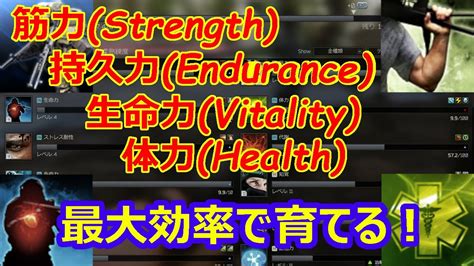 【タルコフ(EFT)】筋力、持久力、生命力、体力、代謝 …