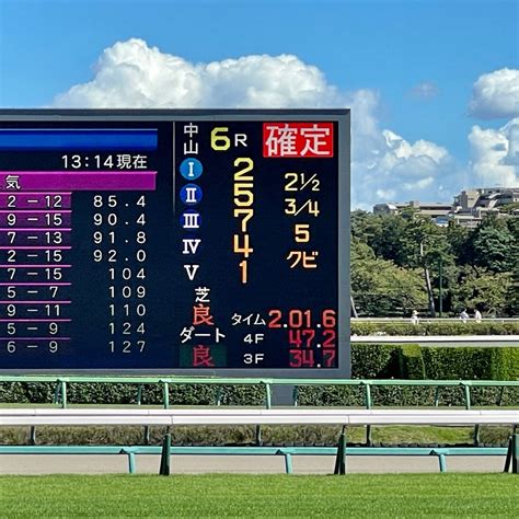 【一口馬主】もしも出資馬のゼッケンが当たったら｜競馬ゼッケ …