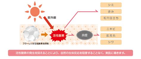 【化粧品成分】 フラーレンの皮膚への効果を徹底解説