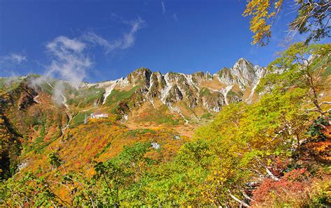 【新宿[都庁]発】＜2～4名1室同代金＞輝く絶景を歩く♪～標高 …