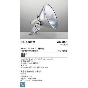 【送料無料】遠藤（エンドウ）照明器具 中型投光器エンドー …