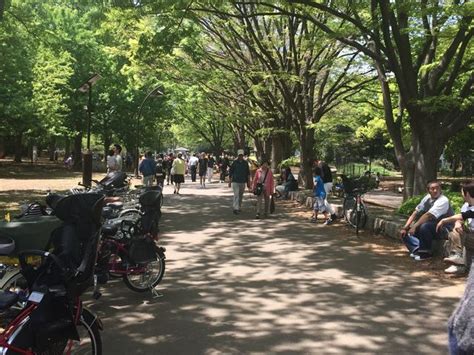 【駒沢オリンピック公園】アクセス・営業時間・料金情報 - じゃ …