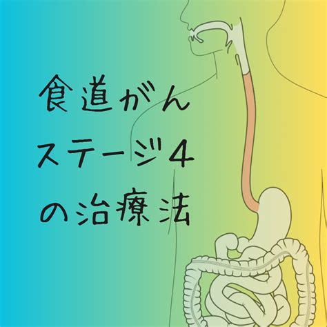 【2024年版】食道がんステージ4の治療（追記あり） がんゲノ …