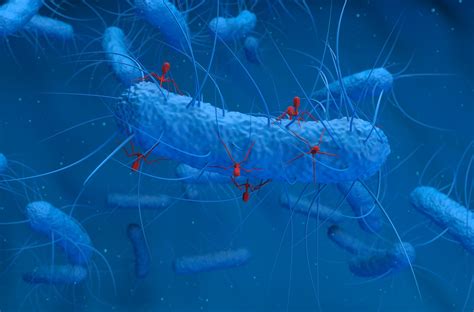 【A rare enzyme role change with bacterial defense system assembly】 Lowongan kerja paruh waktu drafting teknik di mojokerto jawa timur