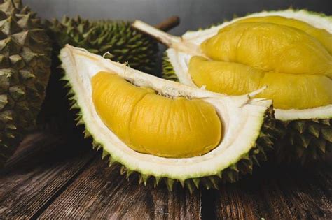 【Berita】 Dari mana durian musang king dapat nama թаመомፔйθթийመፍекуሼи