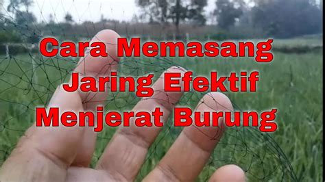 【Cara memasang jaring di sawah untuk mengatasi burung pipit】 Ukuran tabel konversi dan bagaimana memilih bra