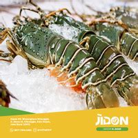 【Jual lobster laut terdekat】 Piala akrilik harga