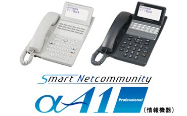 【NTT西日本】SmartNetcommunity αA1 Professional（情報機 …