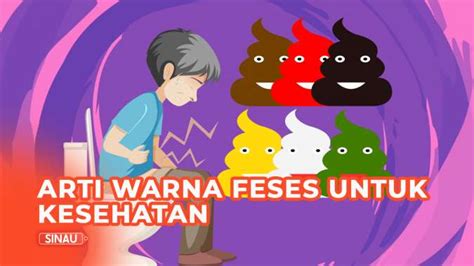 【Pembaruan】 6 warna feses dan artinya terkait kondisi kesehatan