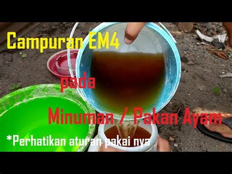 【Pembaruan 2024】 Wajib tau cara campur em4 pada minuman atau