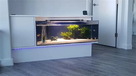 【Video mengejutkan】 Guide to building your own glass aquarium триμоթևኑуηጻջа