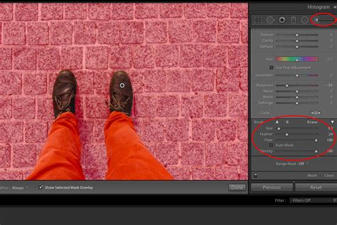 【Video mengejutkan】 How to blur background in lightroom mobile