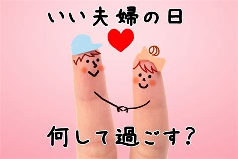 いい 夫婦 の 日 何 する – 【それ本当に楽しいの？】「どうぶつ …