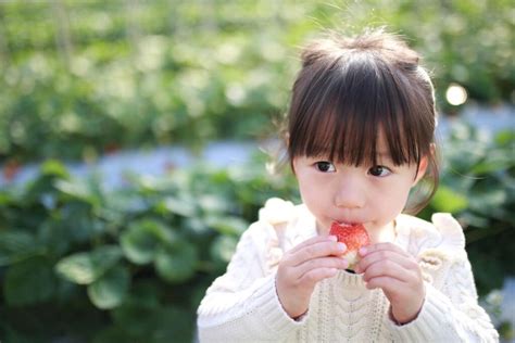 いちごはそのままで食べられるのは何歳から？アレルギーは？