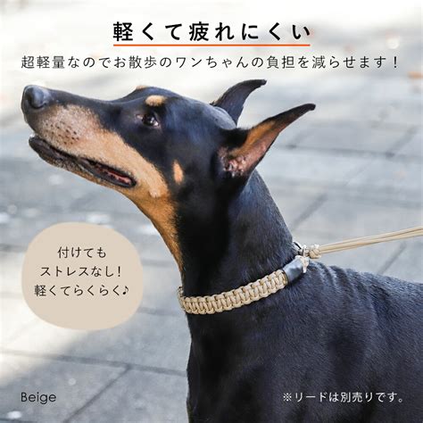 かっこいい犬の値段と価格推移は 143件の売買情報を集計した かっこいい犬の価格や価値の推移データを公開