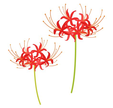 かわいい花の画像159点 完全無料画像検索のプリ画像 Bygmo