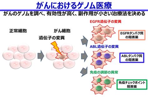 がんの診断・治療はゲノム医療と新世代コンピューターが個別化治療を実現する│大阪がんええ …