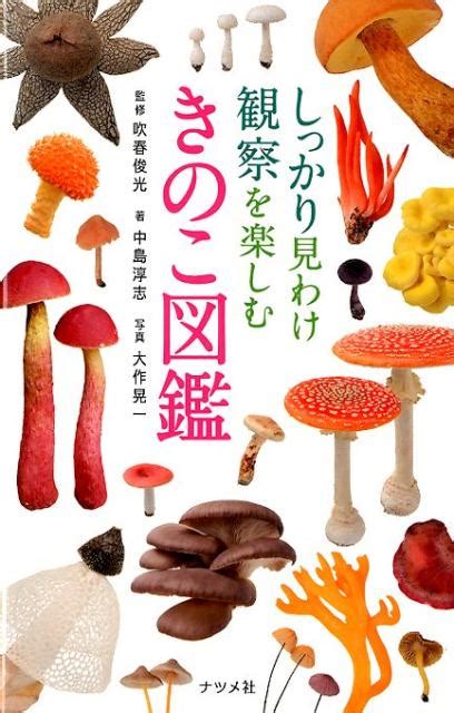 きのこ図鑑 Instagram Posts Gramho Com