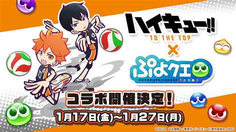 ぷよぷよ クエスト ハイキュー コラボ開催日決定 コラボに登場する全キャラクターを紹介 Every Life