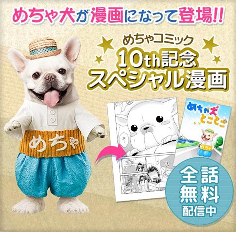 めちゃ犬の値段と価格推移は 8件の売買情報を集計しためちゃ犬の価格や価値の推移データを公開