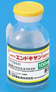 codini.rgarabwor.edu.pl. 