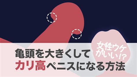 カリ高ペニスはモテる？女性をトリコにする亀頭増大方法を - カリ 高 ペニス