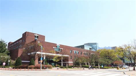 ソウル の 大学