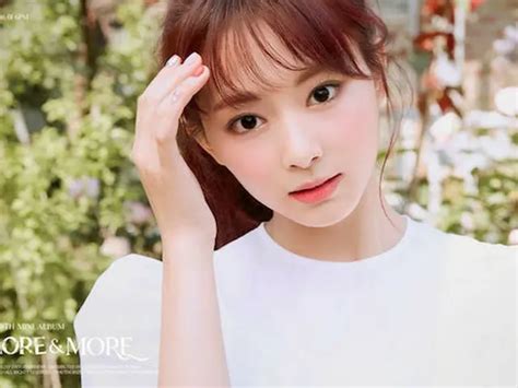 ツウィ Twice 人形ビジュアル すべての瞬間が全盛期 韓国音楽k Pop Wowkora ワウコリア