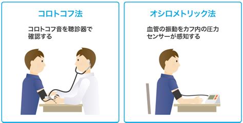 テールカフ法によるラットの平均血圧測定の信頼性 CiNii Research