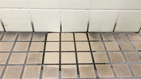 トイレの床タイルが真っ黒 プロが推奨する床タイルの黒ずみを落とす方法 有限会社クリンシア