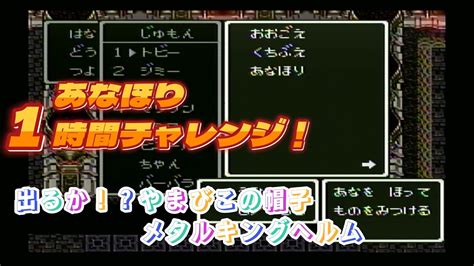 ドラクエ6 あなほりしまくり ひらりんげんぞう日記