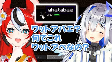 ベールズちゃんのマイクラ内でのユーザー名の読み方が分からな …