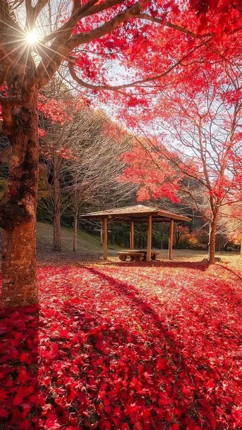 ボード 美しい景色 のピン