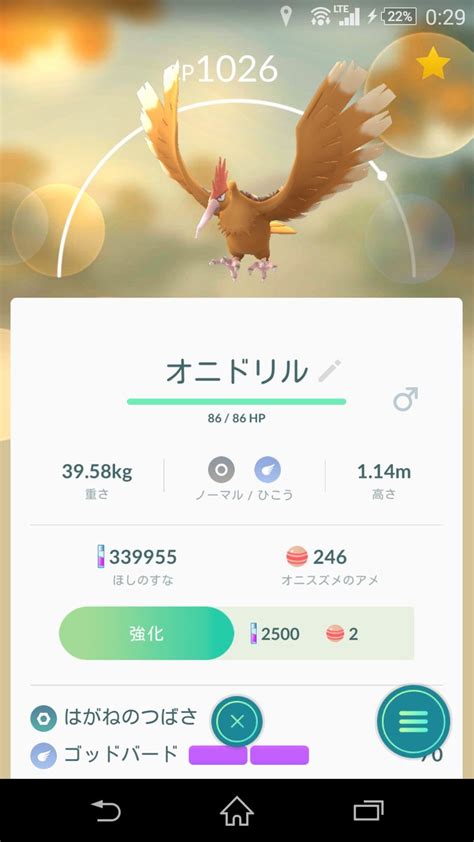 ポケモンgo 翼ゴッドヨルノズクがホーホーマラソンできたらあの場面で使い捨てできるぞ ポケモンgo攻略まとめ速報