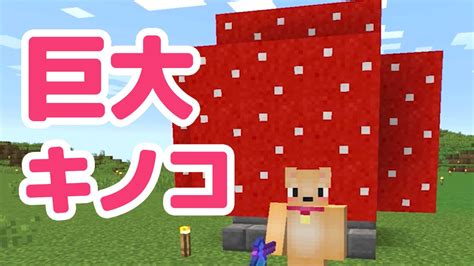 マインクラフト 41 巨大キノコをつくる Youtube