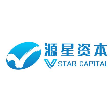 上海星鸿投资管理有限公司怎么？