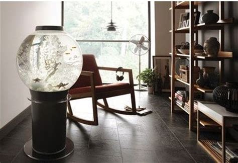 世界一難しい恋で社長の大野智が飼うメダカの水槽の値段やメーカーは Manaぶん