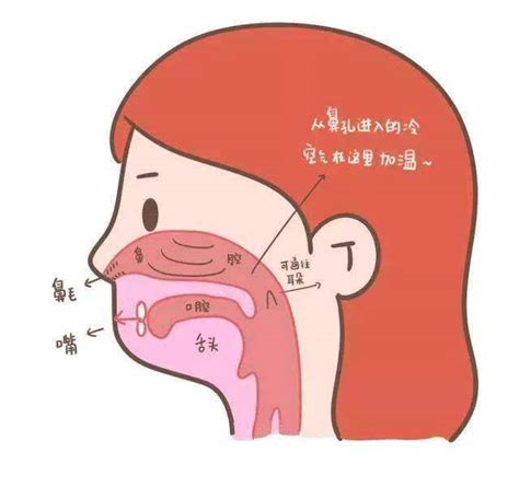 为什么必须用鼻腔呼吸？