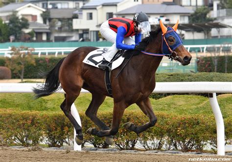 佐賀競馬場 netkeiba.com 開催日程・結果・予想・コース分析・ …