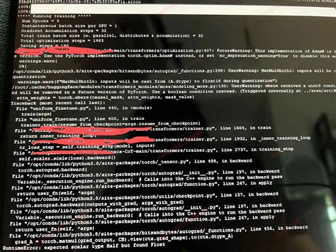 使用MOSS报错：RuntimeError expected scalar type Half but found Float