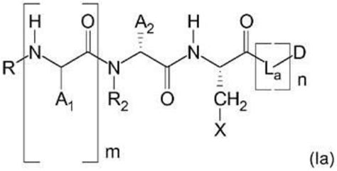 具有酶促可裂解基团的抗体-药物-缀合物(ADC)_拜耳制药股份公司; …