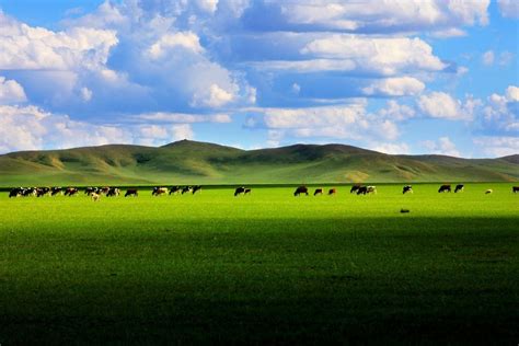 内蒙古大草原旅游大概多少钱