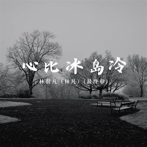 写在风中的信, DJ李秋实 - Qobuz