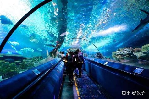 北京动物园海洋馆和富国海底世界哪个好
