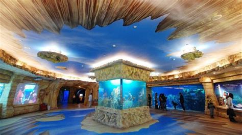 北京动物园海洋馆有团购吗