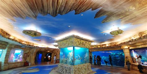 北京动物园海洋馆网上订票