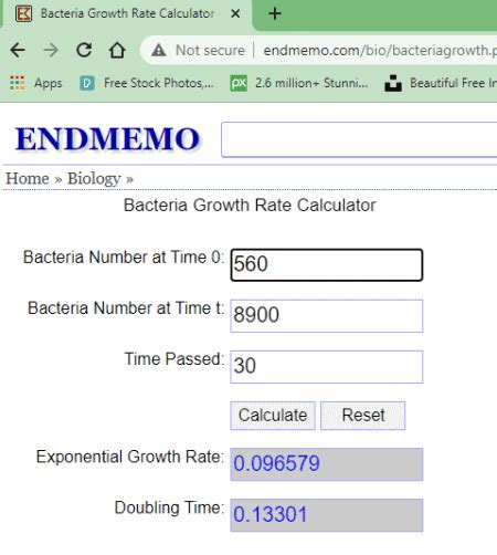codini.rgarabwor.edu.pl. 