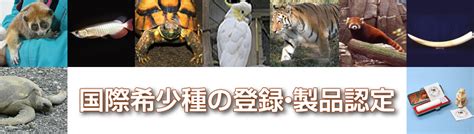 国際希少種の登録・製品認定 ｜ 自然環境研究センター