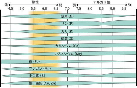 土壌pH がトマトの生育と食味に及ぼす影響，およ びこれら …