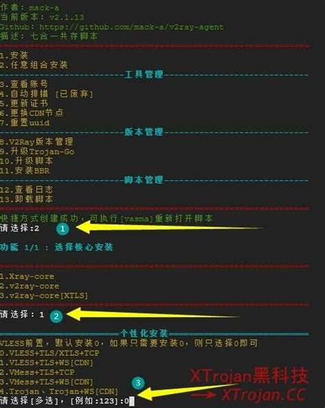 基于 Xray-core 的 Xray+VLESS+TCP+XTLS 一键脚本 - XTrojan黑科技